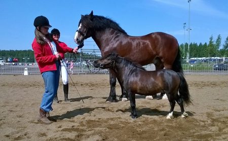 11144970_1031073983570285_8718692896463465619_n[2]