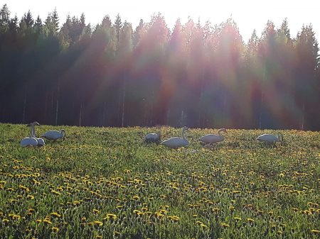 20170608_201514